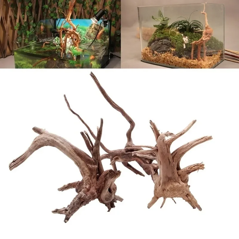 Marine Aquarium For Sale - Natural Tree Trunk Driftwood Aquarium Fish