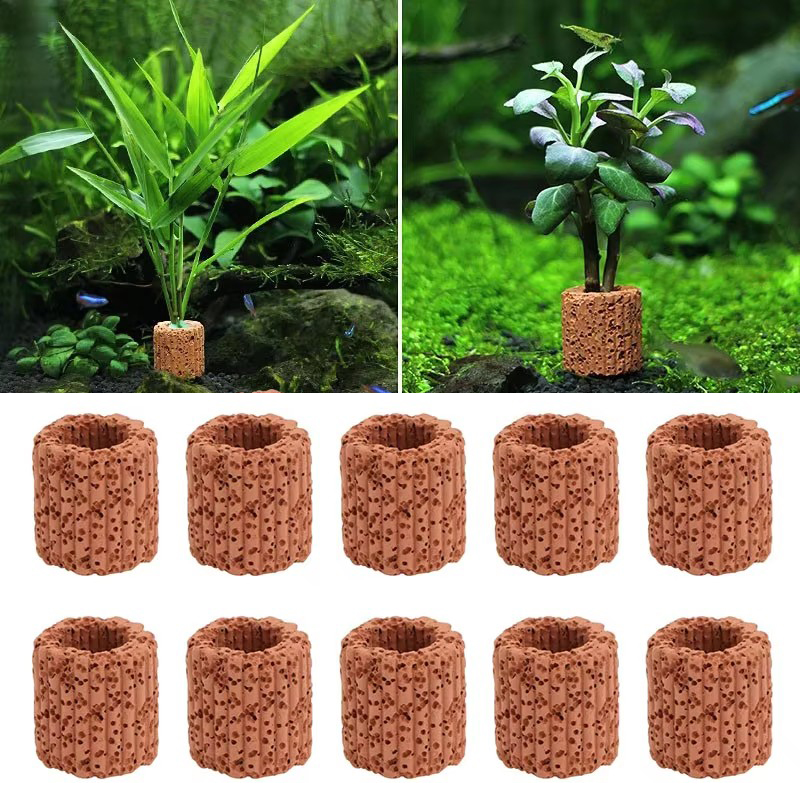 Marine Aquarium For Sale - Aquatic Plant Fixed Ring for Aquarium