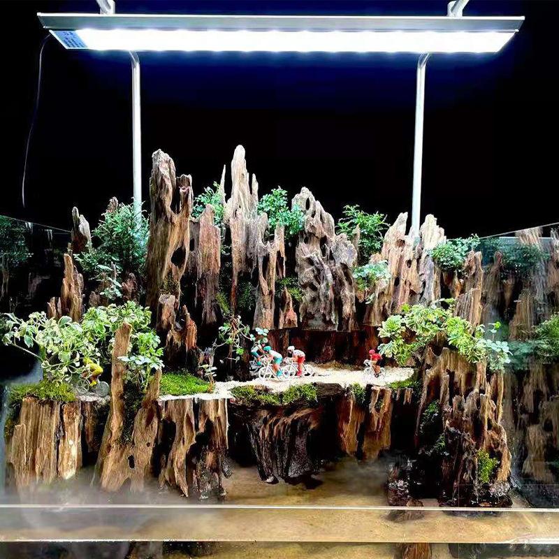 Marine Aquarium For Sale - Shrimp Wood Aquarium Decor, Driftwood Water
