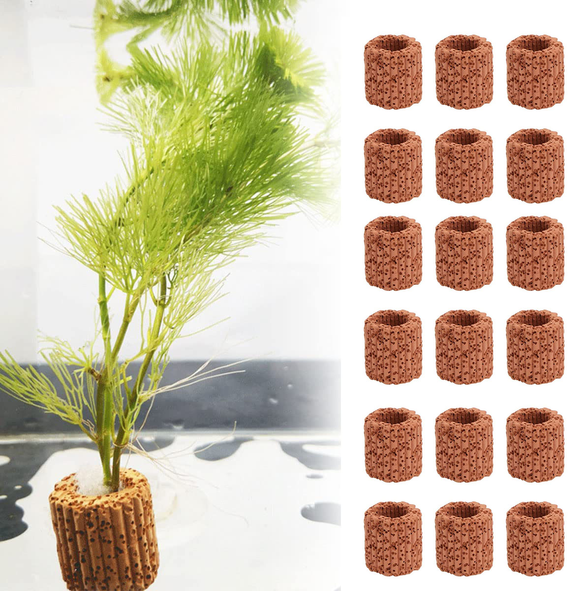 Marine Aquarium For Sale - 10/20Pcs Aquatic Water Plant Fixed Ring