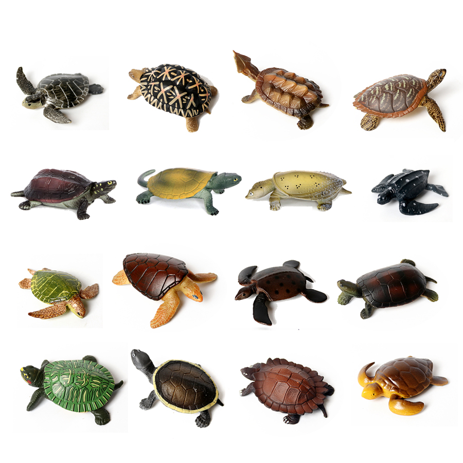 Marine Aquarium & Regional Centre Photos - Realistic Miniatures Marine Life Sea Turtle
