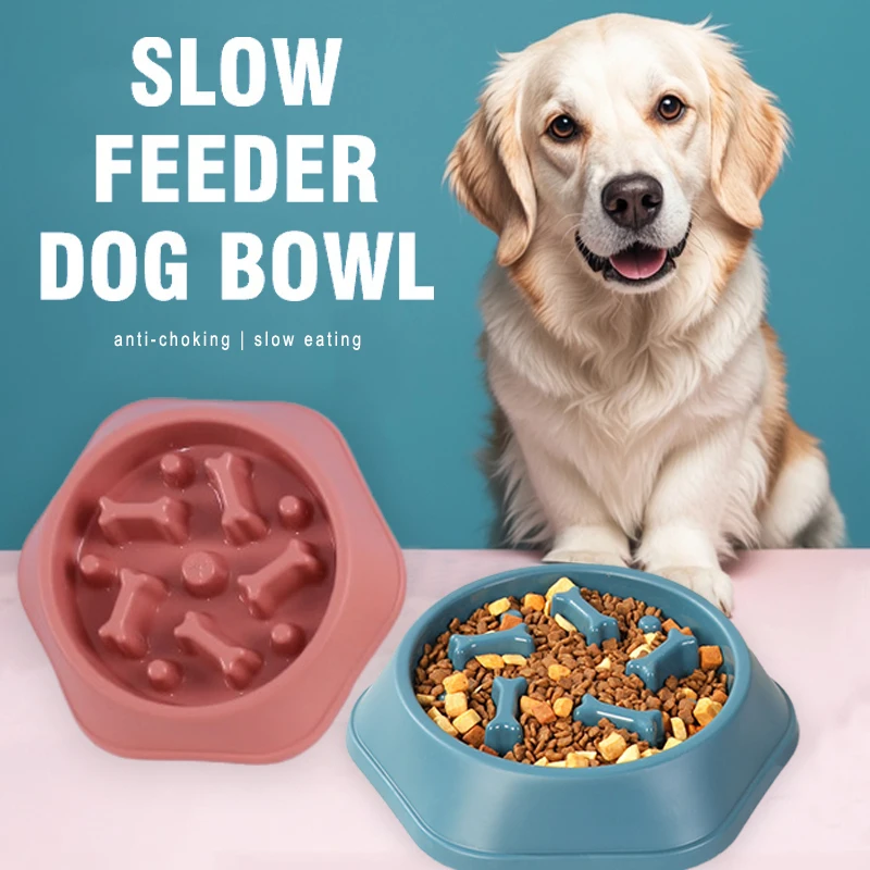 New Slow Feeder Dog Bowl Anti- - Royal Canin Food Medium recension och pris