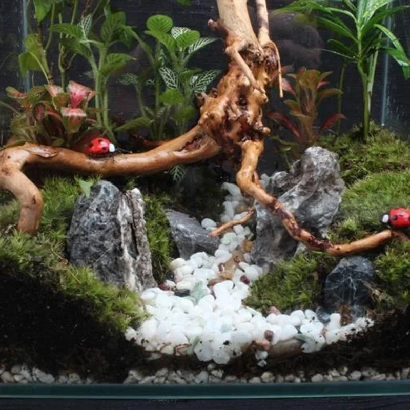 Natural Tree Trunk Driftwood A - Marine Aquarium For Sale recension och pris