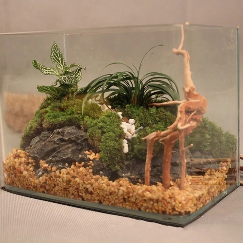 Natural Tree Trunk Driftwood A - Marine Aquarium For Sale recension och pris