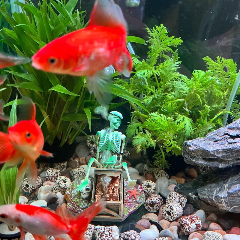 Fish Tank Aerobic Landscape Bu - Marine Aquarium For Sale recension och pris