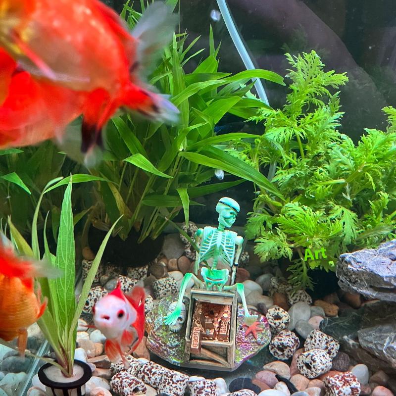 Fish Tank Aerobic Landscape Bu - Marine Aquarium For Sale recension och pris