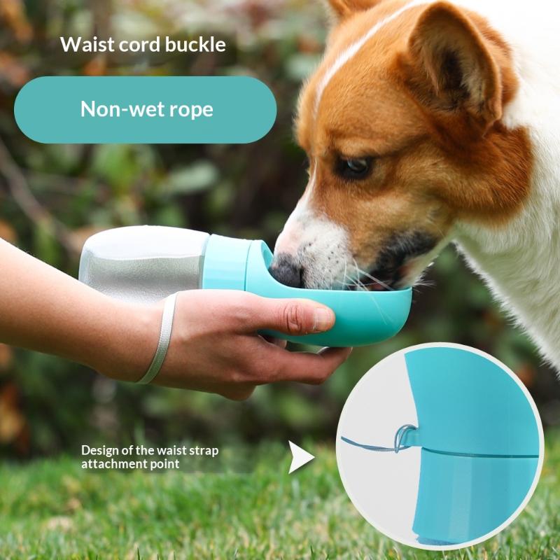500ml Big Dog Water Bottle Por - Royal Canin Food Medium recension och pris