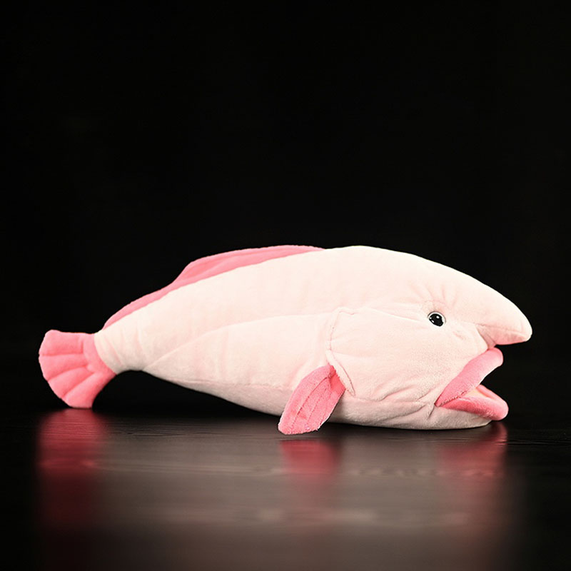 Simulated Animal Blobfish Sea  - Aquarium Marine Park recension och pris