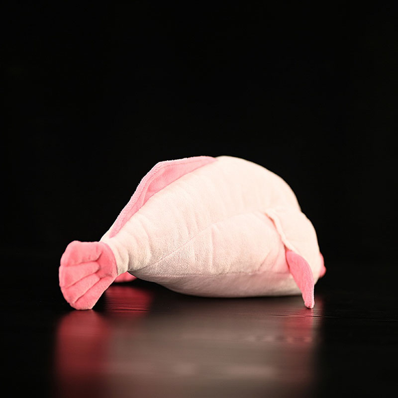 Simulated Animal Blobfish Sea  - Aquarium Marine Park recension och pris