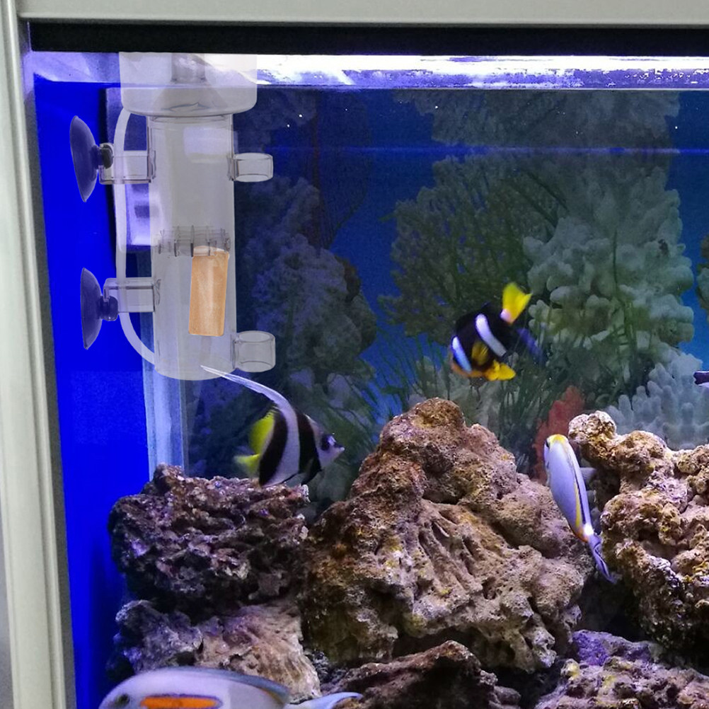 Protein Skimmer Acrylic Aquari - Marine Aquarium & Regional Centre Photos recension och pris