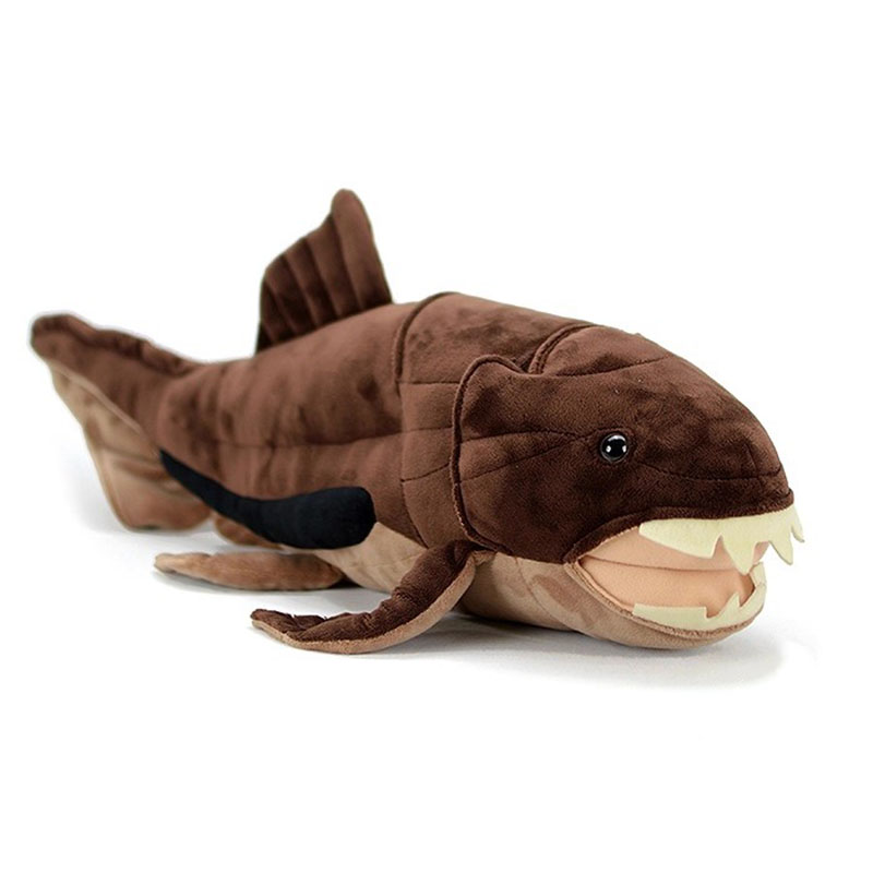 Dunkleosteus terrelli Dunkle F - Aquarium Marine Park recension och pris