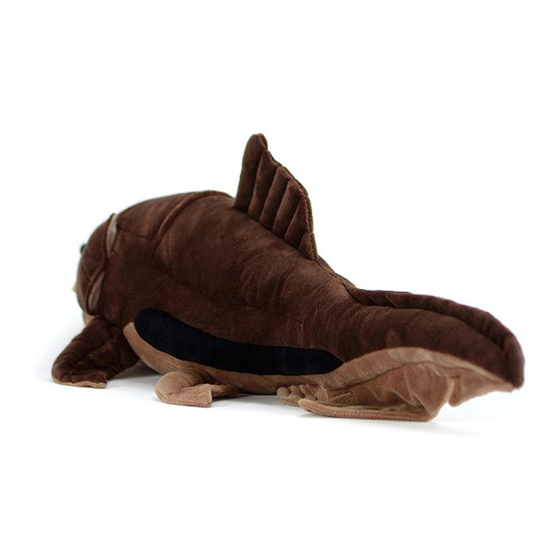 Dunkleosteus terrelli Dunkle F - Aquarium Marine Park recension och pris