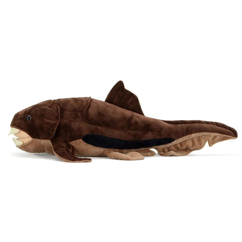 Dunkleosteus terrelli Dunkle F - Aquarium Marine Park recension och pris
