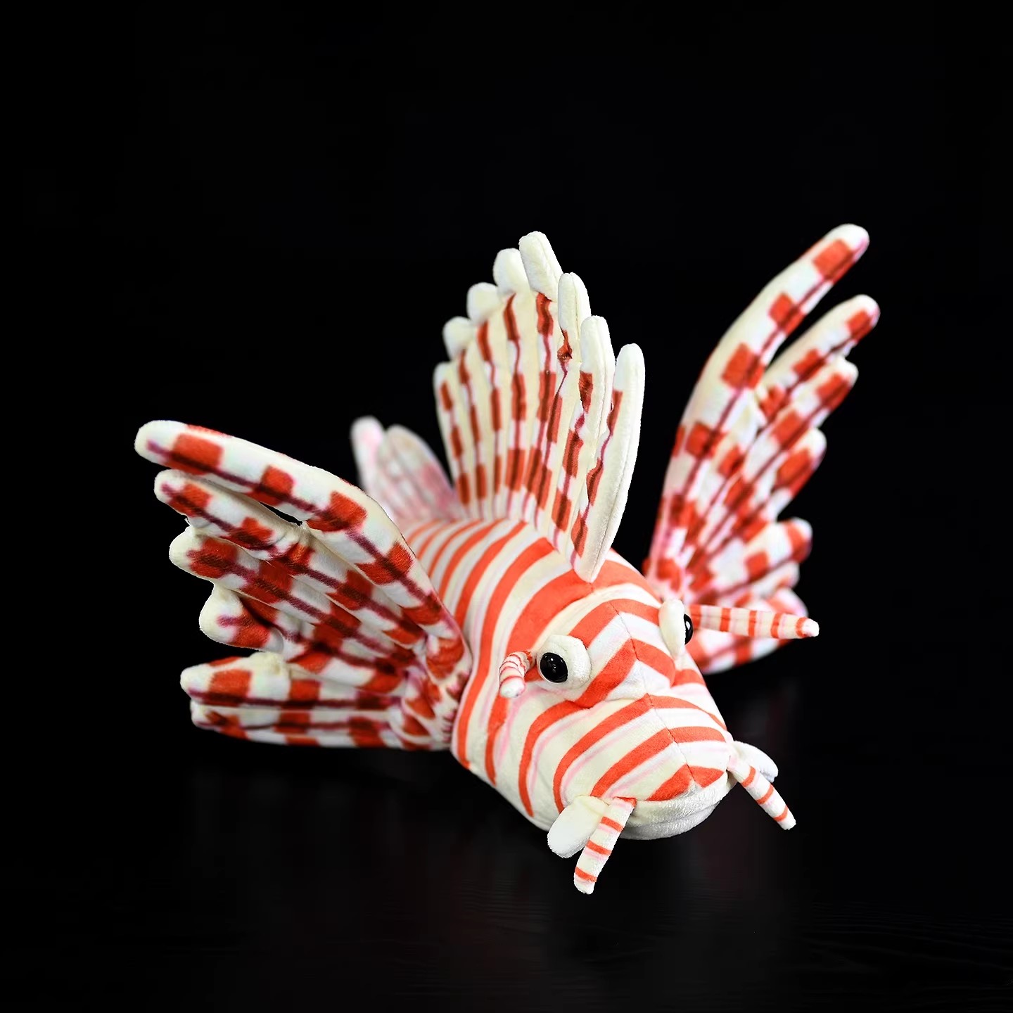 Pterois Volitans Coral Reef Fi - Aquarium Marine Park recension och pris