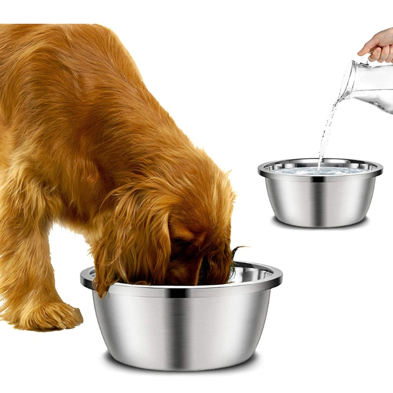 Stainless Steel Dog Feeders 20 - Royal Canin Food Medium recension och pris