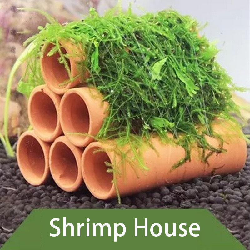 Clay Aquarium Decoration Fish  - Marine Aquarium For Sale recension och pris