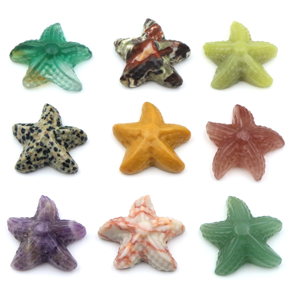 35mm Starfish Shape Statue Mar - Marine Aquarium & Regional Centre Photos recension och pris