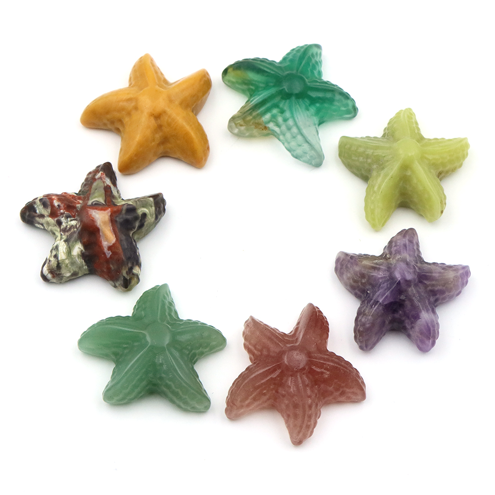 35mm Starfish Shape Statue Mar - Marine Aquarium & Regional Centre Photos recension och pris