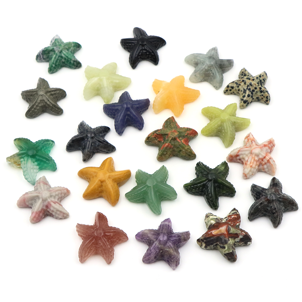 35mm Starfish Shape Statue Mar - Marine Aquarium & Regional Centre Photos recension och pris