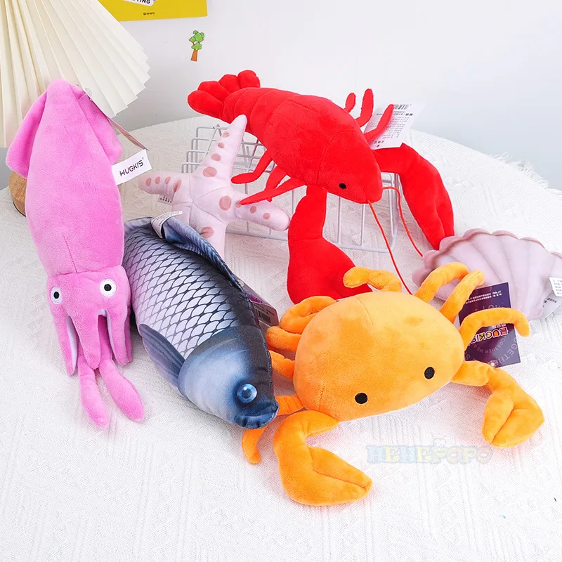 Lobster Squid Crab Starfish Sc - Aquarium Marine Park recension och pris