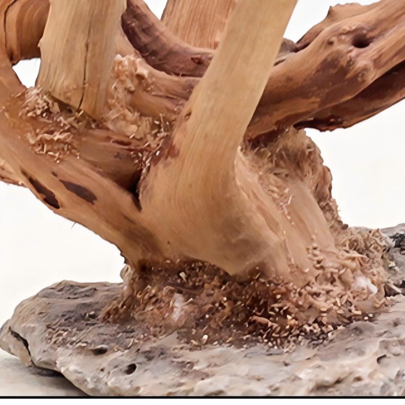 1PC Aquarium Landscaping Wood  - Marine Aquarium For Sale recension och pris