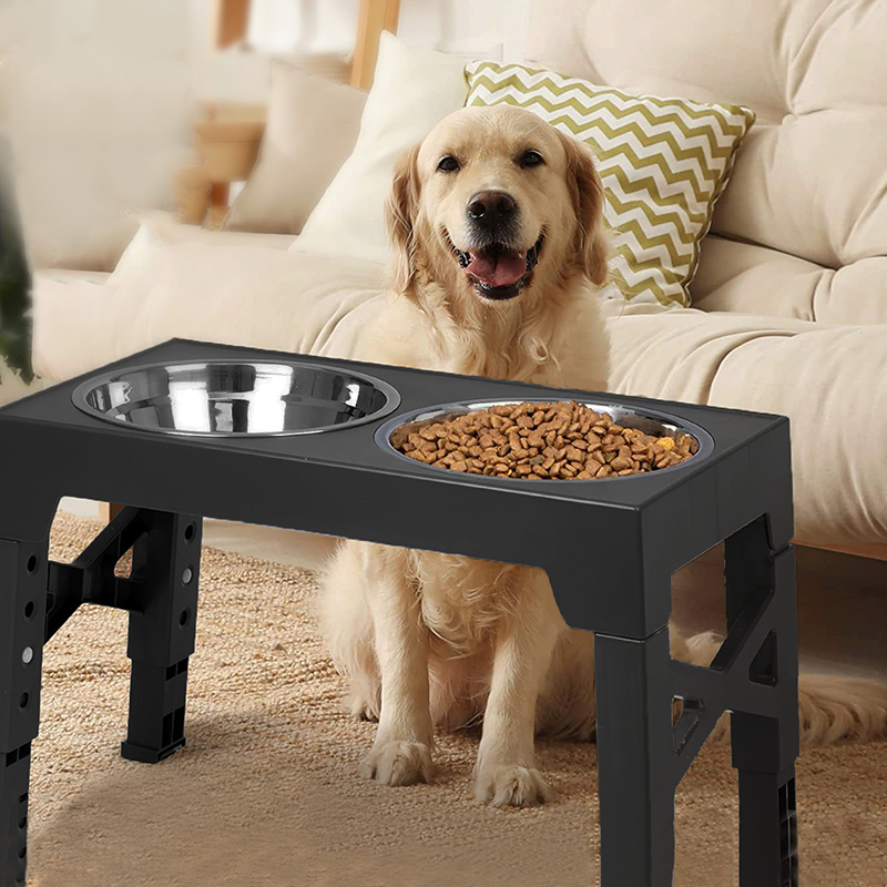 BOOTEELY Elevated Dog Feeder B - Royal Canin Food Medium recension och pris