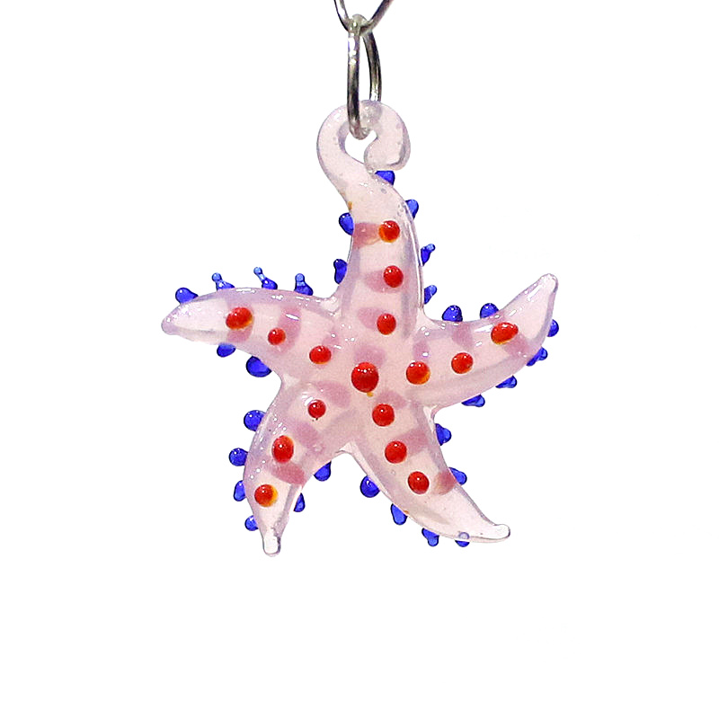 Cute Marine Animal Starfish Ch - Marine Aquarium & Regional Centre Photos recension och pris