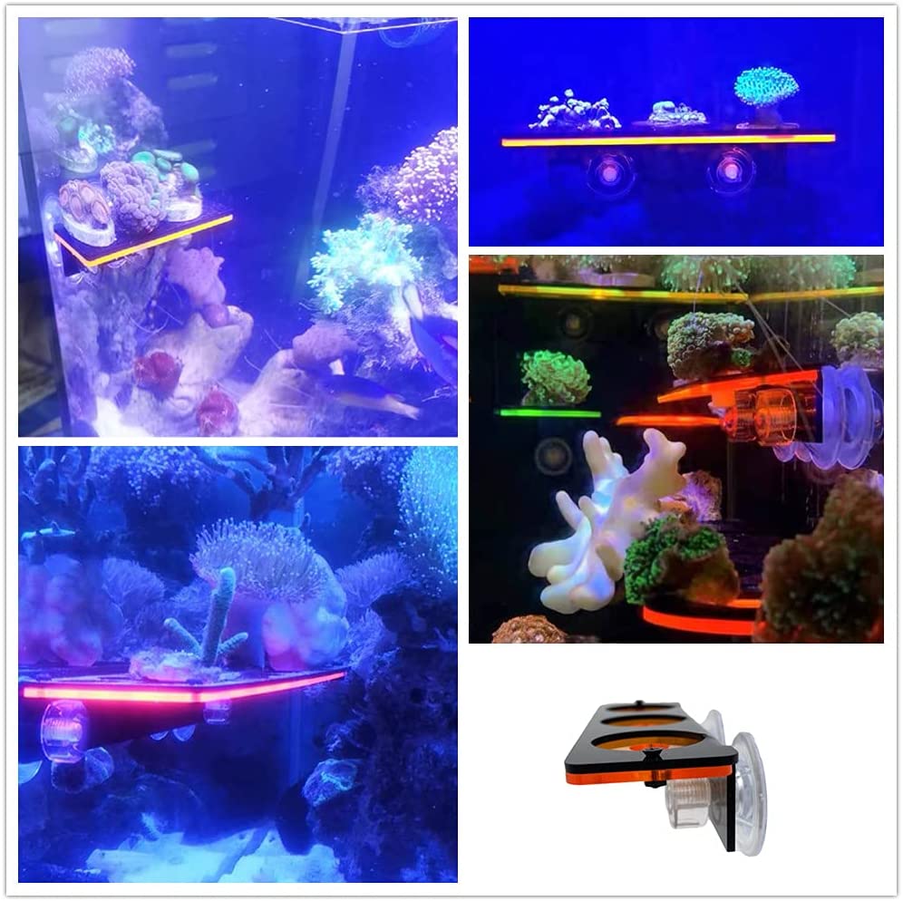 Fluorescent Coral Frag Plug Br - Marine Aquarium For Sale recension och pris
