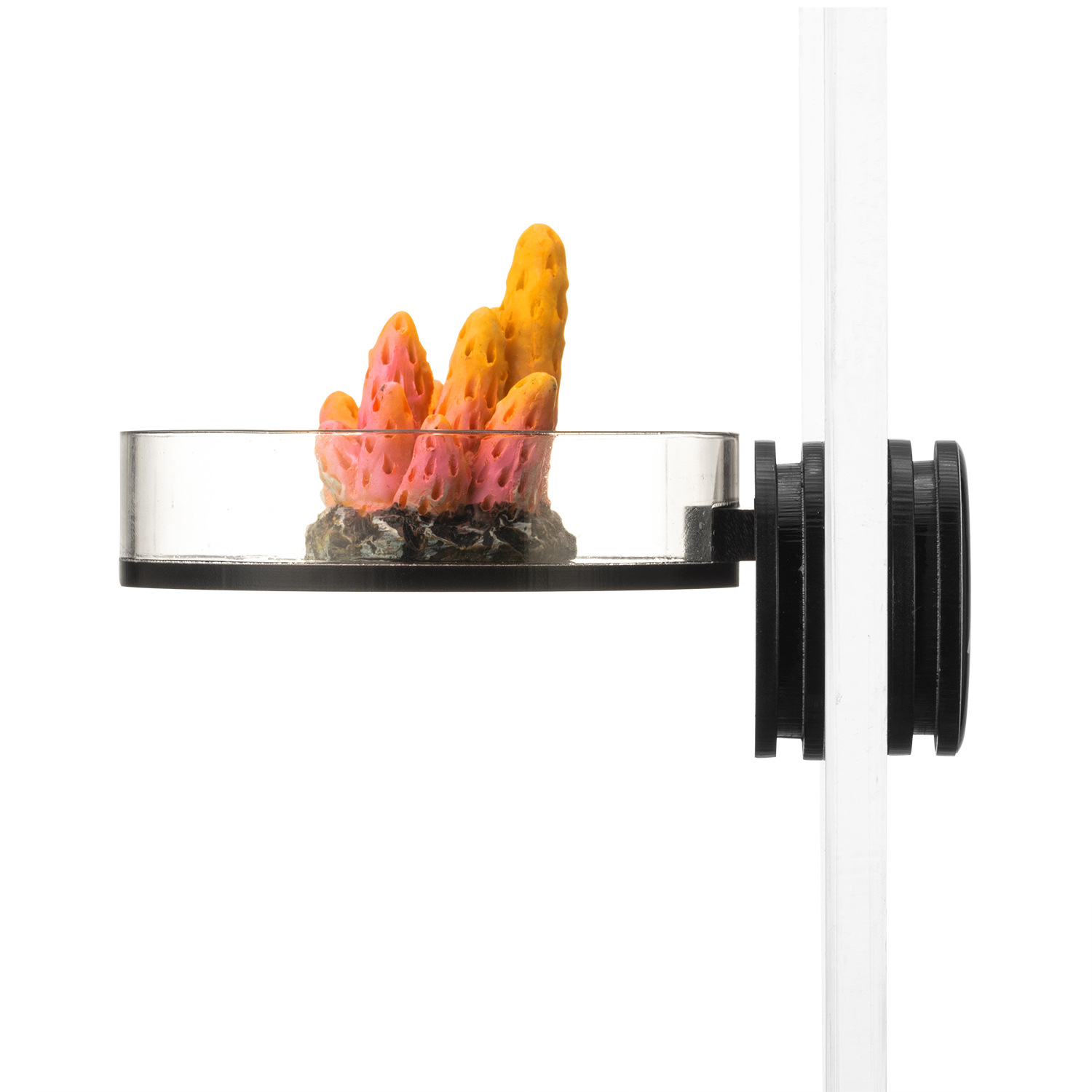 Marine Sources 70mm Black Magn - Marine Aquarium & Regional Centre Photos recension och pris